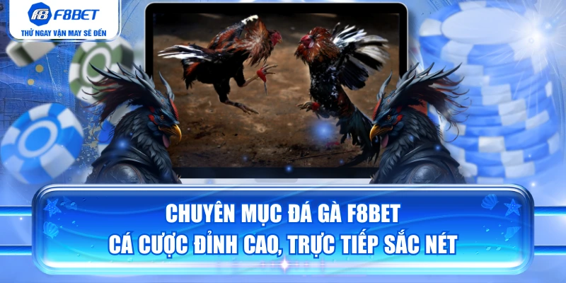Chuyên Mục Đá Gà F8BET | Cá Cược Đỉnh Cao, Trực Tiếp Sắc Nét
