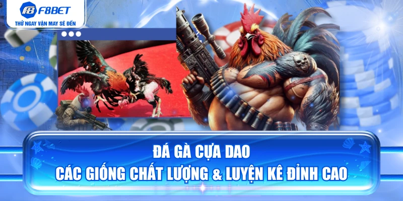 Đá Gà Cựa Dao | Các Giống Chất Lượng & Luyện Kê Đỉnh Cao